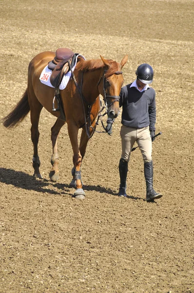 Bromont Canada July Unknown Rider Horse 2012 International Bromont July — Fotografia de Stock