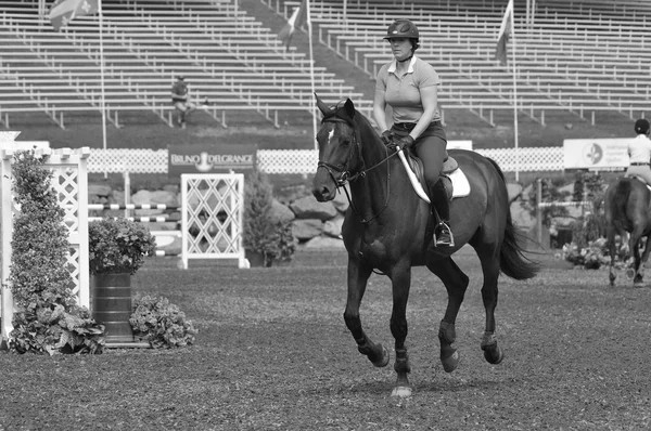 Bromont Canada July Unknown Rider Horse 2012 International Bromont July — стокове фото