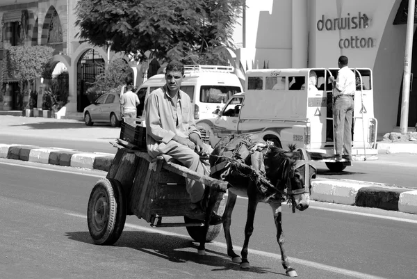 Cairo Egitto Novembre Povero Uomo Premuroso Merce Buggy Tirare Asino — Foto Stock