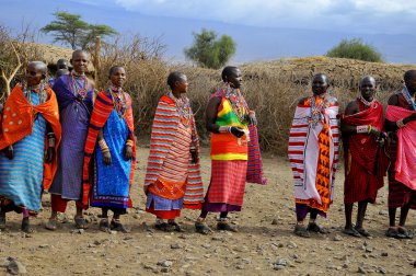 Masai kabilesinden kimliği belirsiz Afrikalı bir grup, 13 Ekim 2011 'de Kenya' nın Masai Mara kentinde düzenlenen geleneksel atlama dansını göstermeye hazırlanıyor. Onlar göçebe ve küçük köylerde yaşıyorlar..