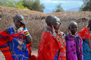 Masai kabilesinden kimliği belirsiz Afrikalı bir grup, 13 Ekim 2011 'de Kenya' nın Masai Mara kentinde düzenlenen geleneksel atlama dansını göstermeye hazırlanıyor. Onlar göçebe ve küçük köylerde yaşıyorlar..