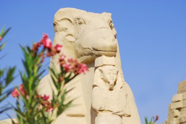Koç başlı sfenks caddeleri, Karnak Tapınakları, Luxor, Mısır