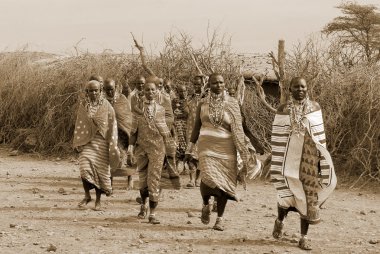 Masai kabilesinden kimliği belirsiz Afrikalı bir grup, 13 Ekim 2011 'de Kenya' nın Masai Mara kentinde düzenlenen geleneksel atlama dansını göstermeye hazırlanıyor..