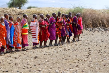 Masai kabilesinden kimliği belirsiz Afrikalı bir grup, 13 Ekim 2011 'de Kenya' nın Masai Mara kentinde düzenlenen geleneksel atlama dansını göstermeye hazırlanıyor. Onlar göçebe ve küçük köylerde yaşıyorlar..