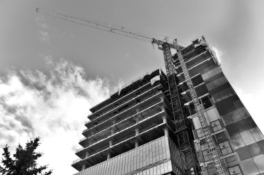 Puno Katedrali veya Katedral Basalica San Carlos Borromeo, Peru 'nun başkenti Puno' da yer alan bir Andean Barok katedrali.  