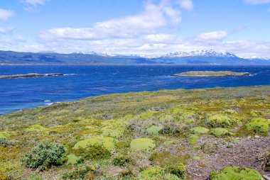 Beagle Channel Patagonia, Arjantin 'in güneyinde Arjantin-Şili-Grande de de Tierra del Fuego, güneyinde Hoste, Navarino ve Picton ve Nueva adaları arasında kurulmuştur..