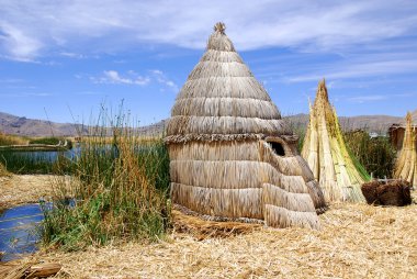 Titicaca Gölü Peru. Bitkilerin geliştiği ve iç içe geçtiği yoğun kök adaları destekleyen Khili adı verilen bir ila iki metre kalınlığında doğal bir katman oluşturuyor.