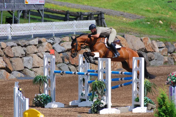 Bromont Canada July Unknown Rider Horse 2011 International Bromont July — Φωτογραφία Αρχείου