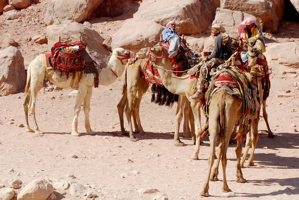 Menschen Reiten Auf Kamelen Der Wüste — Stockfoto