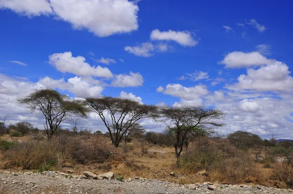 Paisagem Com Céu Azul Nuvens — Fotografia de Stock