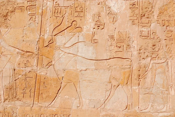 Templo Mortuário Rainha Hatshepsut Está Localizado Sob Falésias Deir Bahari — Fotografia de Stock