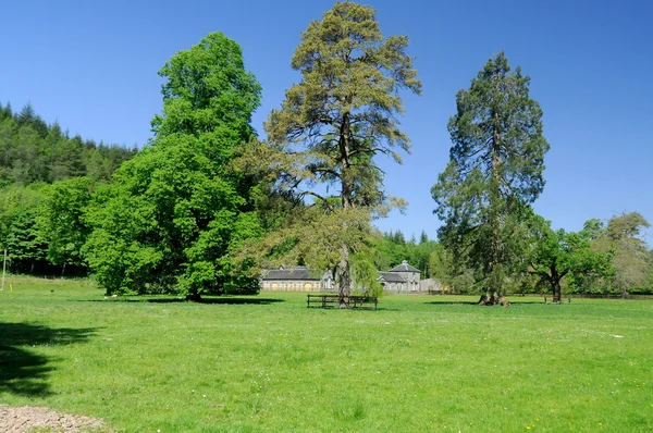 Schöne Frühlingshafte Landschaft Schottland — Stockfoto