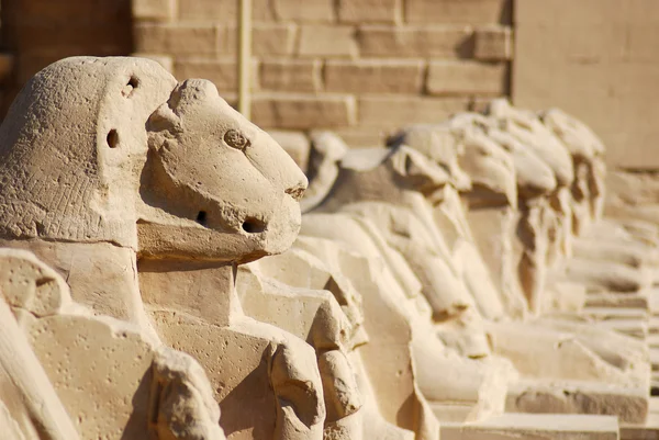 Balanço Beco Com Cabeças Carneiros Templo Karnak Bem Como Várias — Fotografia de Stock