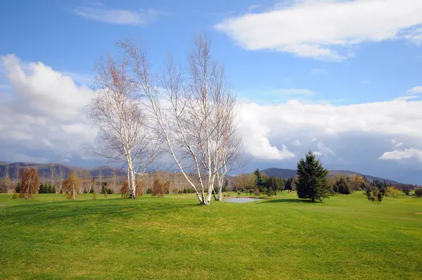 Paesaggio Primaverile Quebec Canada — Foto Stock