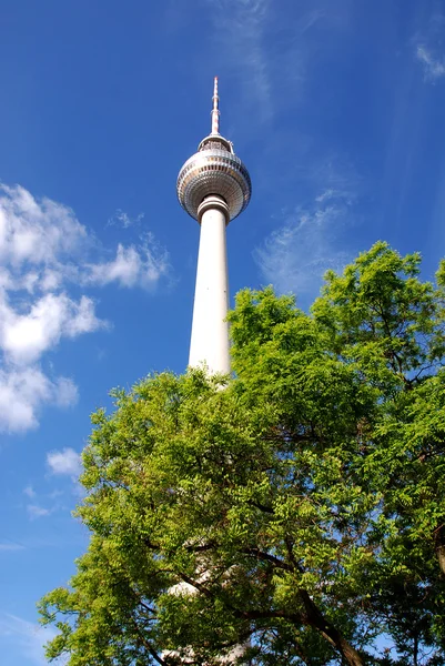 Berlin Allemagne Mai Fernsehturm Tour Télévision Situé Sur Alexanderplatz Berlin — Photo