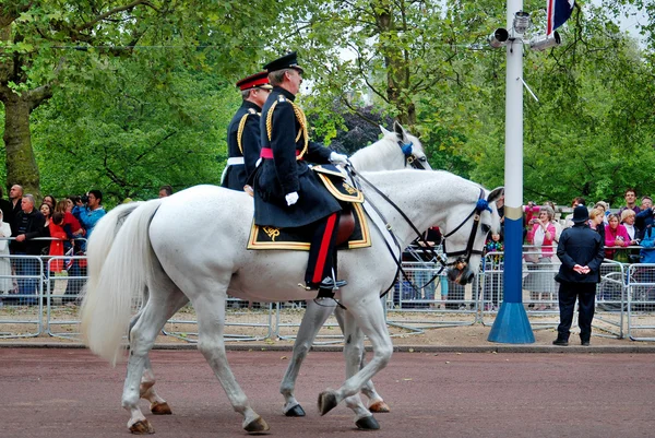 Ngiltere Haziran 2012 Londra Buckingham Sarayı Nda Avm Düzenlenen Renk — Stok fotoğraf