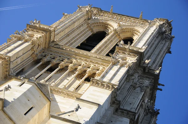 Notre Dame Paris Franciaország — Stock Fotó