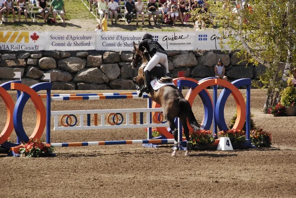 Bromont Canada Juillet Cavalier Inconnu Cheval 2011 International Bromont Juillet — Photo