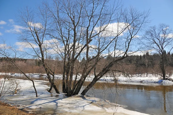 Paisagem Inverno Dia Ensolarado — Fotografia de Stock