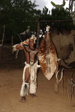 Sakaland-27 Kasım: Tanımlanamayan Zulu dansçıları, 27 Kasım 2010 'da Shakaland Zulu Kültür Köyü, Kwazulu-Natal, Güney Afrika' da düzenlenen bir Zulu gösterisinde geleneksel Zulu kıyafetleri giyerler.