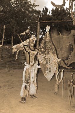 Sakaland-27 Kasım: Tanımlanamayan Zulu dansçıları, 27 Kasım 2010 'da Shakaland Zulu Kültür Köyü, Kwazulu-Natal, Güney Afrika' da düzenlenen bir Zulu gösterisinde geleneksel Zulu kıyafetleri giyerler.