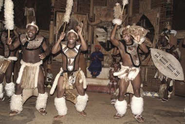 Sakaland-27 Kasım: Tanımlanamayan Zulu dansçıları, 27 Kasım 2010 'da Shakaland Zulu Kültür Köyü, Kwazulu-Natal, Güney Afrika' da düzenlenen bir Zulu gösterisinde geleneksel Zulu kıyafetleri giyerler.