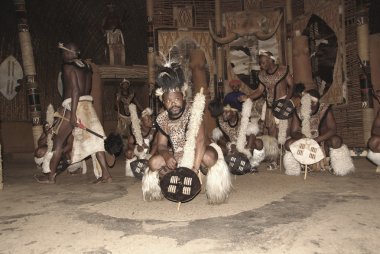 Sakaland-27 Kasım: Tanımlanamayan Zulu dansçıları, 27 Kasım 2010 'da Shakaland Zulu Kültür Köyü, Kwazulu-Natal, Güney Afrika' da düzenlenen bir Zulu gösterisinde geleneksel Zulu kıyafetleri giyerler.