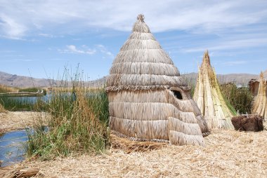 Titicaca Gölü Peru. Bitkilerin geliştiği ve iç içe geçtiği yoğun kök adaları destekleyen Khili adı verilen bir ila iki metre kalınlığında doğal bir katman oluşturuyor.