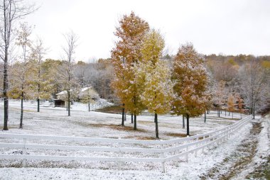 Karlı kışın kırsal arazisi 