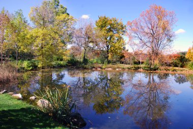Gölde Sakin Bir Gün