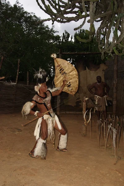 Sakaland Kasım Tanımlanamayan Zulu Dansçıları Kasım 2010 Shakaland Zulu Kültür — Stok fotoğraf