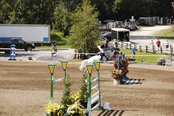 Bromont Canada Juillet Cavalier Inconnu Cheval 2011 International Bromont Juillet — Photo