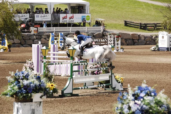 2011 Bromont Canada July Unknown Rider Horse 2011 International Bromont — 스톡 사진