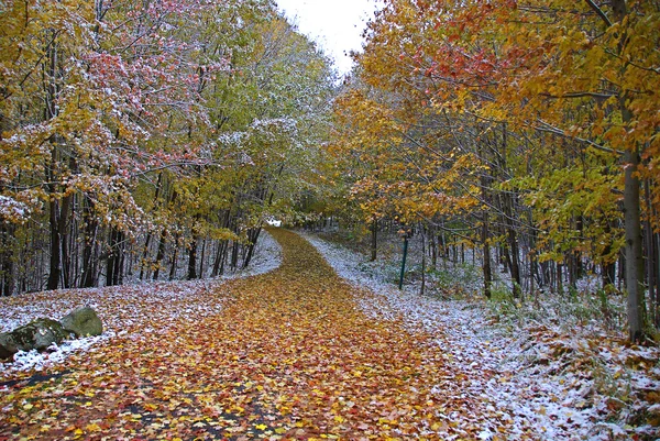 Sendero Para Caminar Parque Principios Invierno —  Fotos de Stock