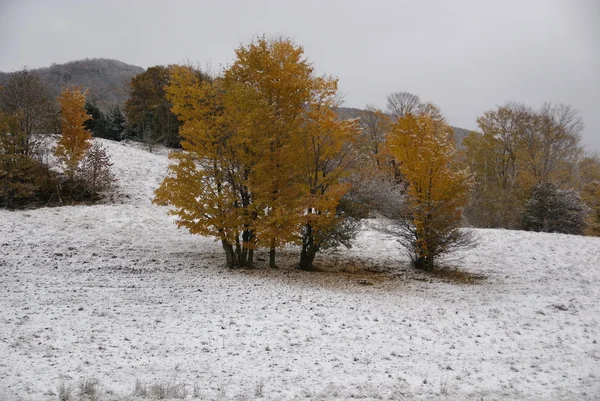 Paesaggio Tardo Autunnale Bromont Città Orientale Quebec Canada — Foto Stock