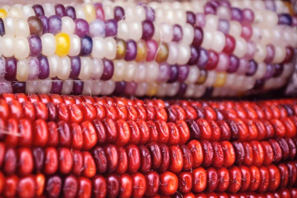 Red Corns Market Close — kuvapankkivalokuva