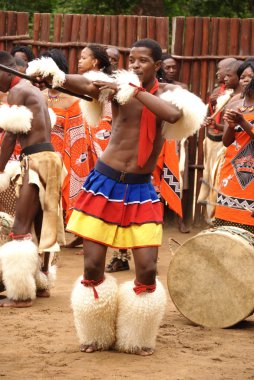 MANZINI, SWAZILAND - 25 Kasım 2010 Manzini, Svaziland 'daki bir Swazi gösterisinde kimliği belirsiz genç erkekler geleneksel giysiler giyer ve dans eder.
