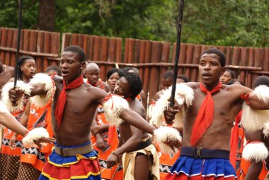 MANZINI, SWAZILAND - 25 Kasım 2010 Manzini, Svaziland 'daki bir Swazi gösterisinde kimliği belirsiz genç erkekler geleneksel giysiler giyer ve dans eder.