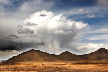 renkli modern ve dekoratif dijital arka plan