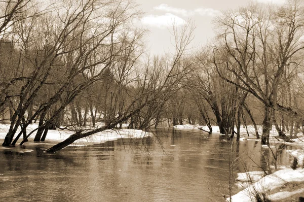 Winterfluss Park — Stockfoto