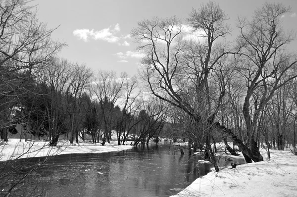 Schöner Fluss Park — Stockfoto