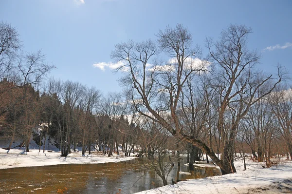 Paysage Hivernal Avec Arbres Enneigés — Photo