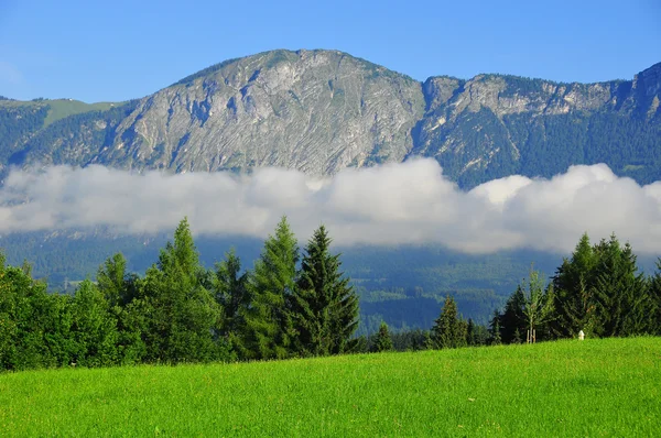 Alpská Krajina Innsbrucku Rakousko — Stock fotografie