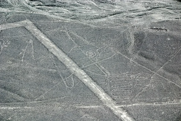 Linhas Baleia Nazca São Uma Série Grandes Geoglifos Antigos Deserto — Fotografia de Stock