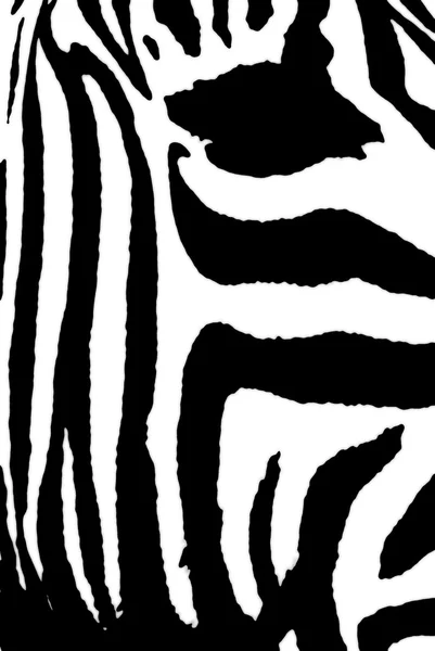 Padrão Zebra Textura Fundo — Fotografia de Stock