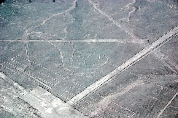 Papoušek Nazca Lines Jsou Série Velkých Starověkých Geoglyfů Poušti Nazca — Stock fotografie