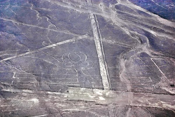 Papegoja Nazca Lines Serie Stora Antika Geoglyfer Nazca Desert Södra — Stockfoto