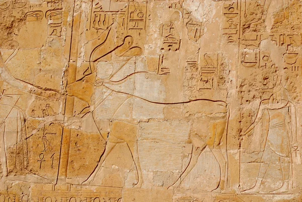 Egyptian God Ancient Statue — Stock Photo, Image