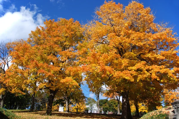 Fall landscape Quebec province Canada