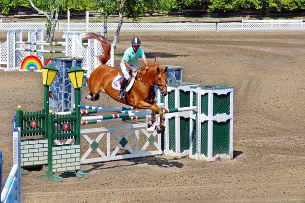 Bromont Canada July Unknown Ride Horse 2011 International Bromont July — 图库照片